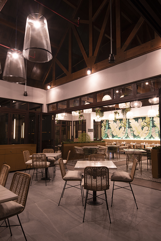Salt Sea